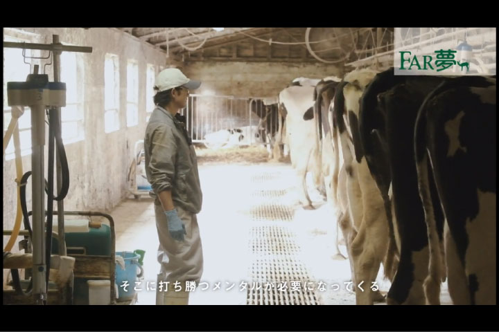 【舎飼いから放牧に転換して】放牧酪農家：馬場牧場さん／北海道由仁町 （FarmFile01）