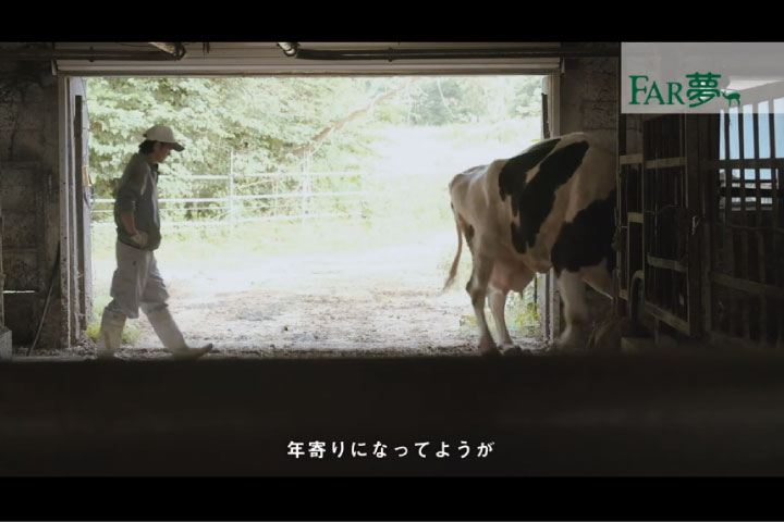【舎飼いから放牧に転換して】放牧酪農家：馬場牧場さん／北海道由仁町 （FarmFile01）