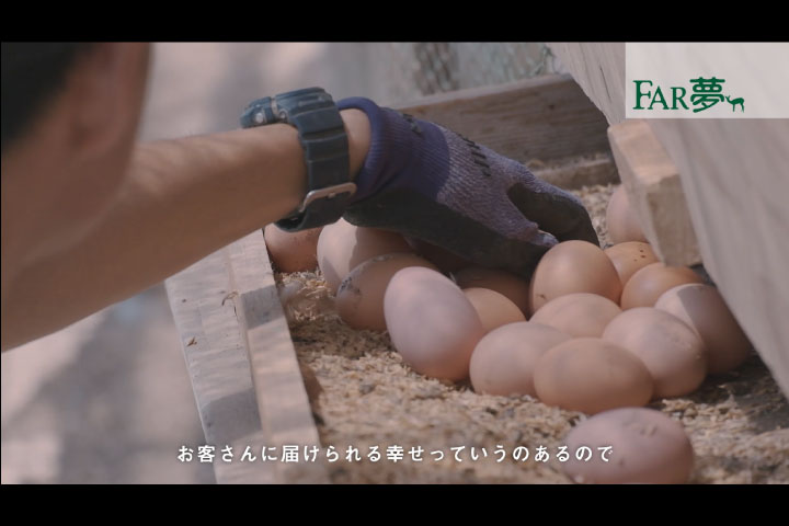 【養鶏×就労支援から持続可能な未来を創る】平飼い養鶏農場：ファームアグリコラ／北海道当別町（FarmFile02）