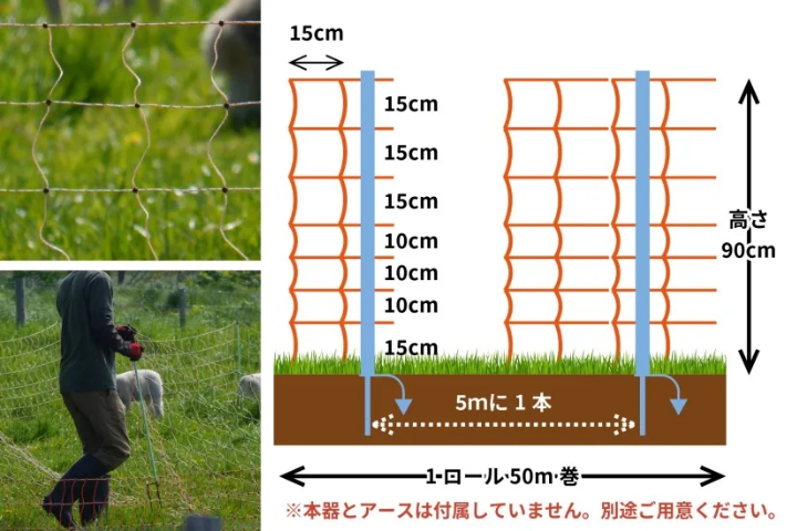 【養蜂 対策】クマ被害を防ぐ方法は？基本的なポイントをご紹介