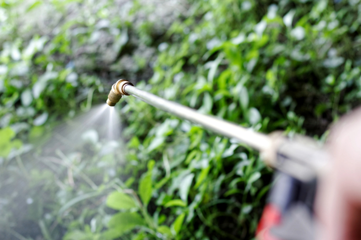 【 電気柵 漏電 】電気柵の下草刈りが面倒...なくせない？管理の手間を軽減する方法や基礎的なポイントをご紹介