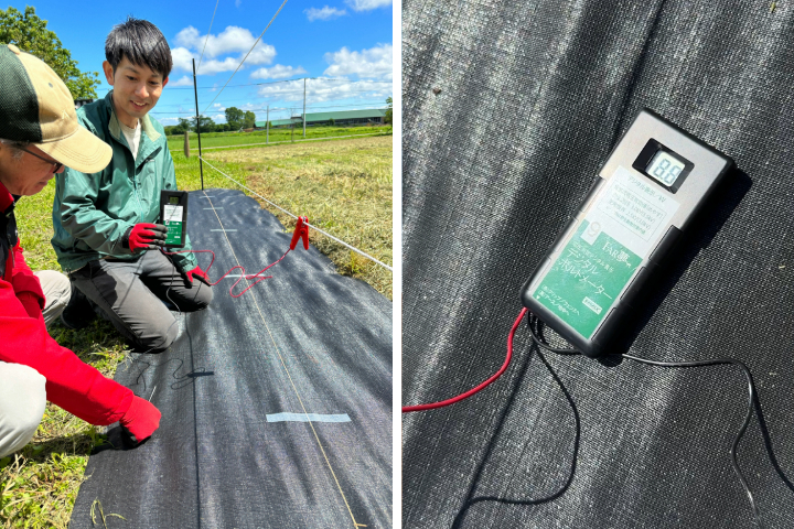 【 電気柵 漏電 】電気柵の下草刈りが面倒...なくせない？管理の手間を軽減する方法や基礎的なポイントをご紹介