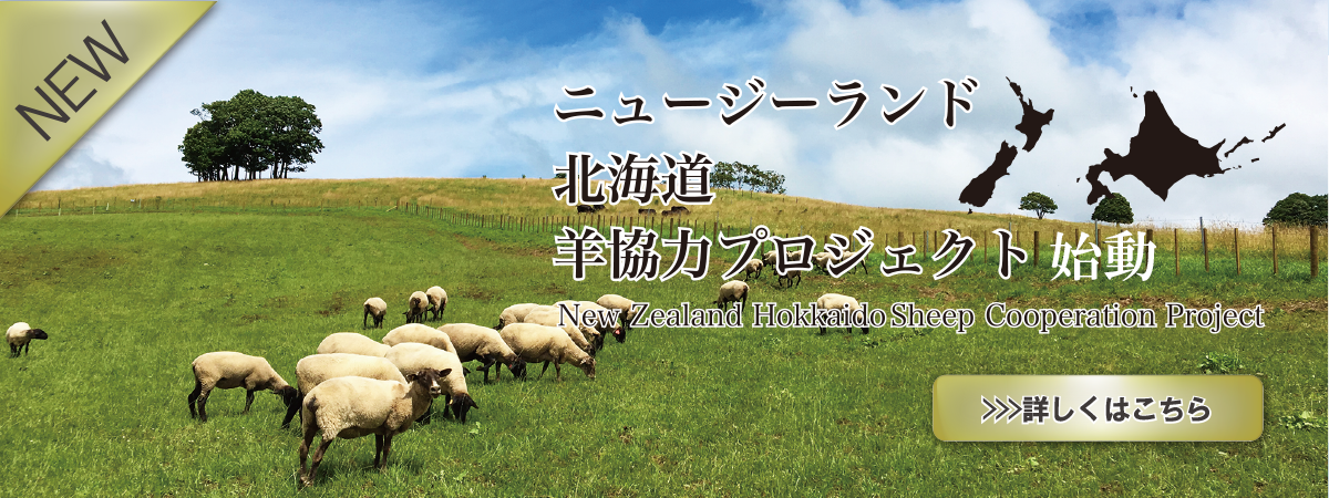 ニュージーランド羊協力